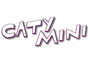 Caty mini - Jeux de société et stratégie - JEUX, JOUETS - Renaud